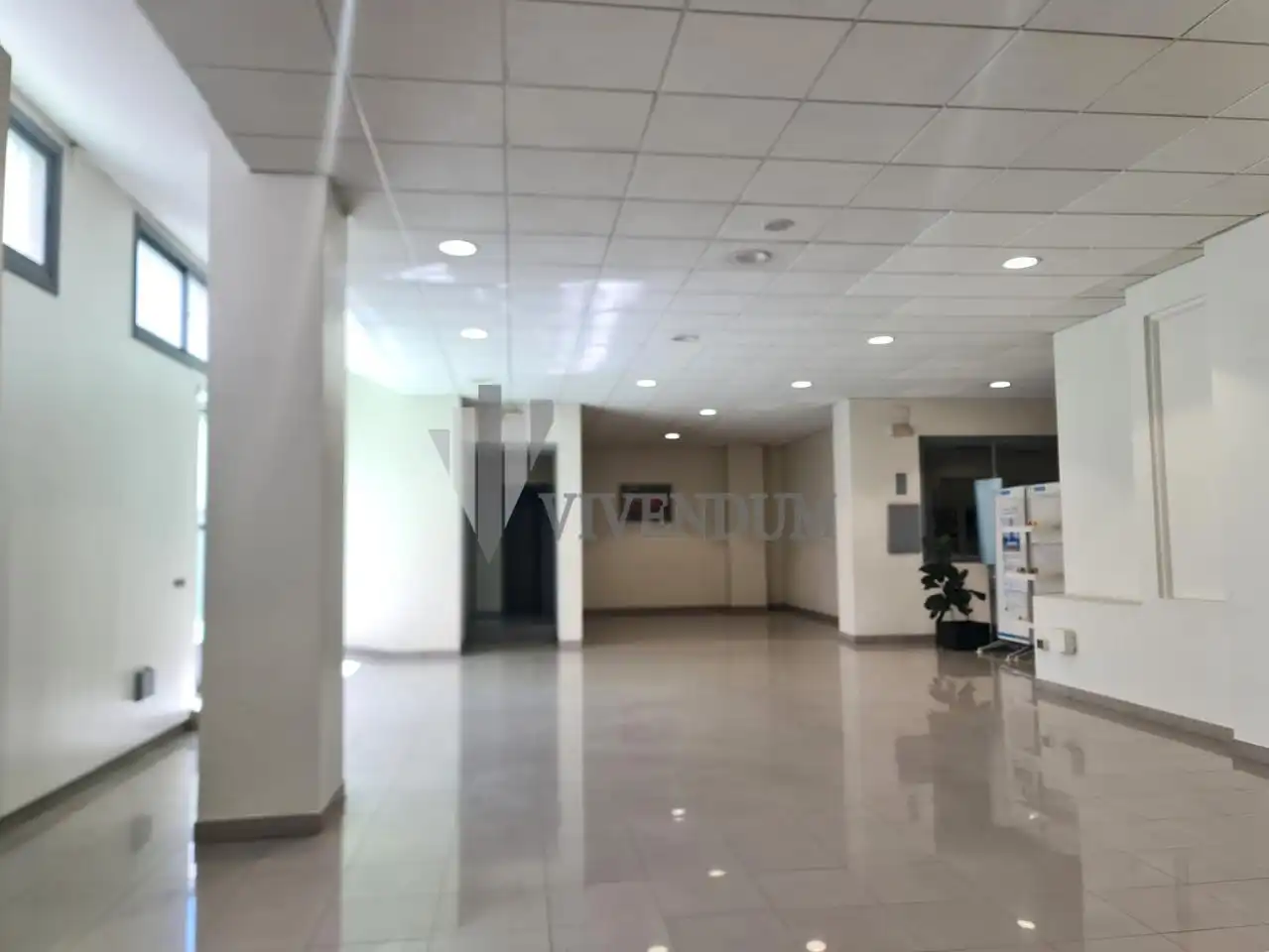 Local comercial en venta en Centro Urbano, imagen 13