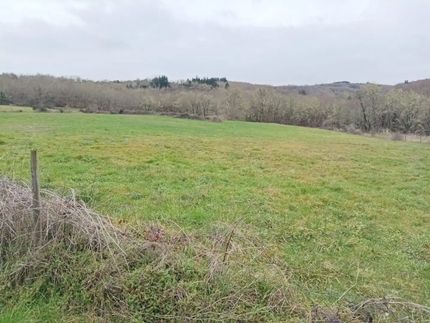 Finca rústica en venta en Becerreá