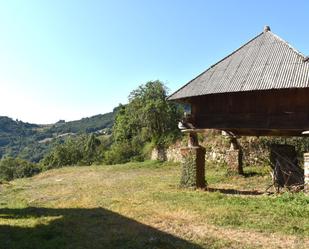 Außenansicht von Country house zum verkauf in As Nogais  mit Privatgarten und Abstellraum