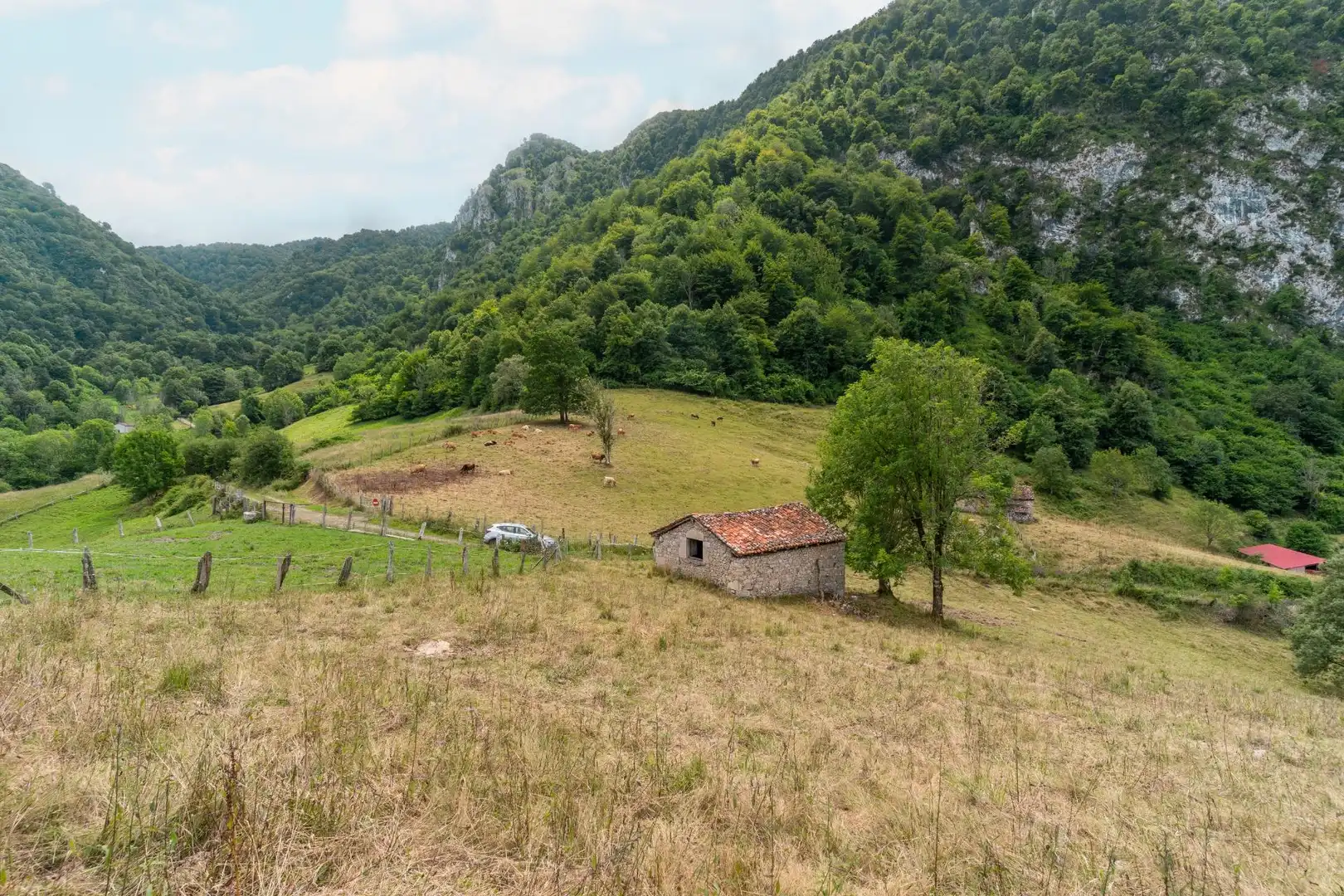 Houses for sale in Amieva