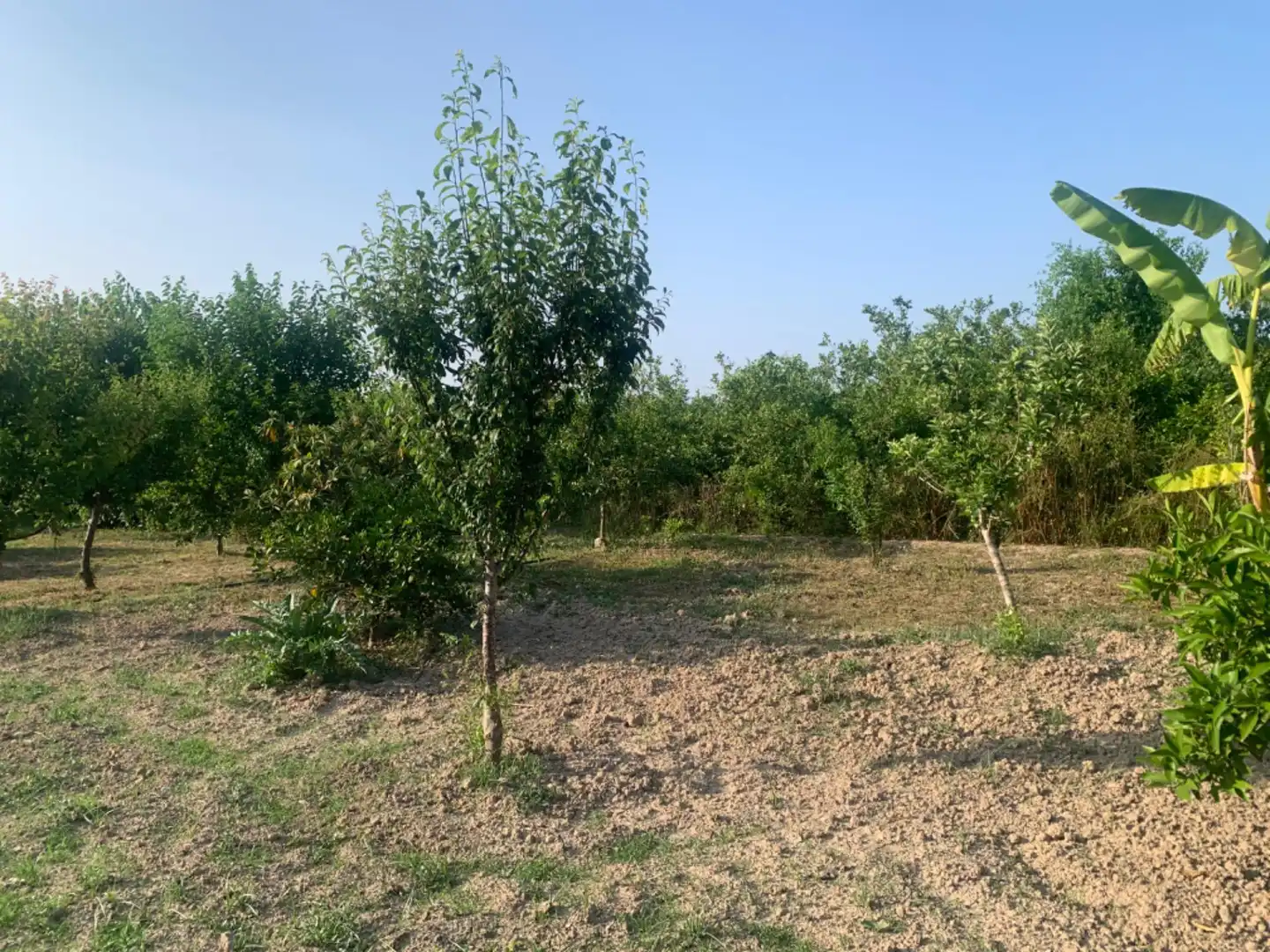 Finca rústica en venda a Alquerías