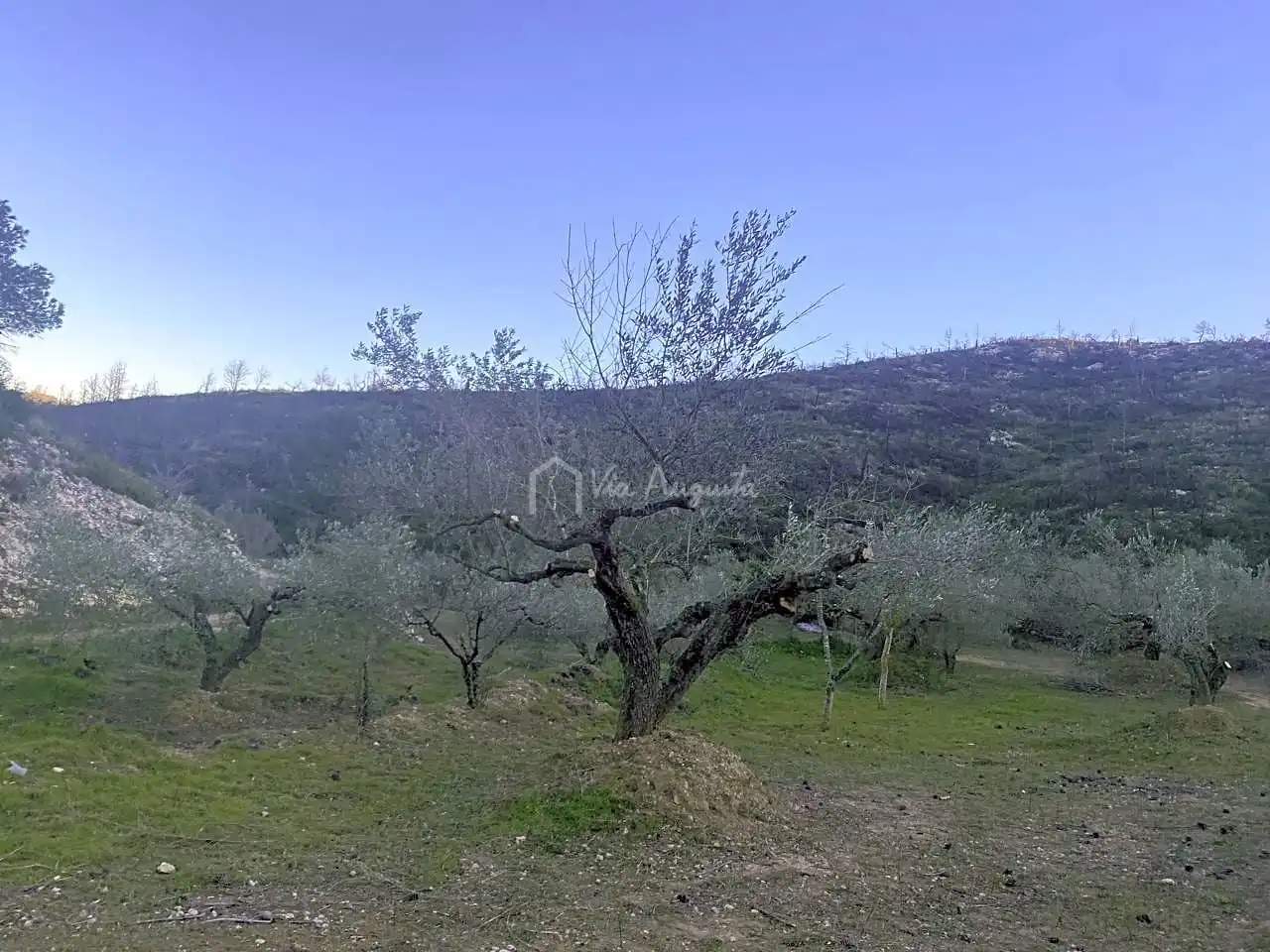 Terreno rustico in vendita a Perchels, imagen 6