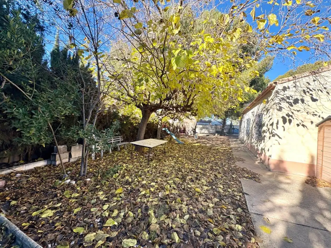 Jardí de Casa o xalet en venda en Tibi amb Jardí privat