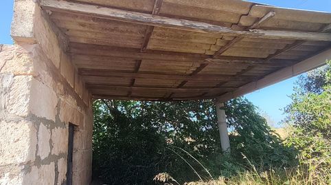 Venta Finca Rústica con caseta y pozo de vena en Muro, immagine 3