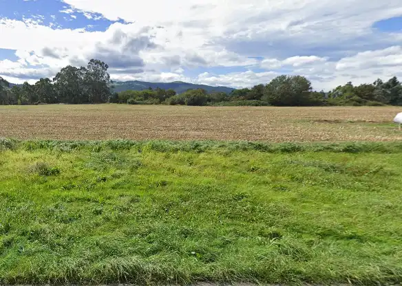 Grundstücke und Bauplätze zum Verkauf in Los Pulpinos, imagen 10