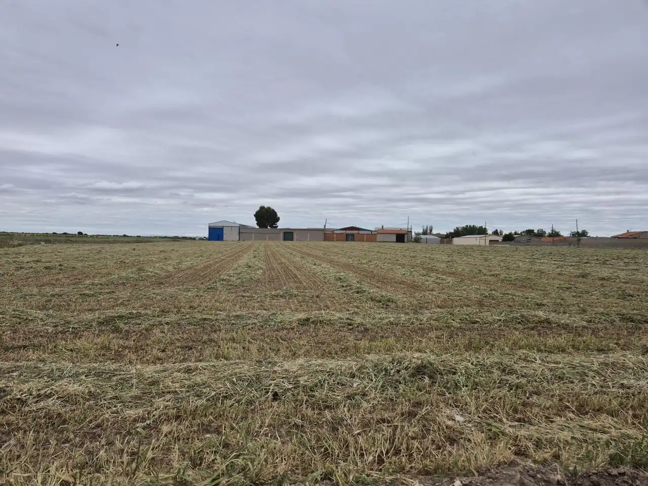 Grundstücke und Bauplätze zum Verkauf in Almendros, imagen 8