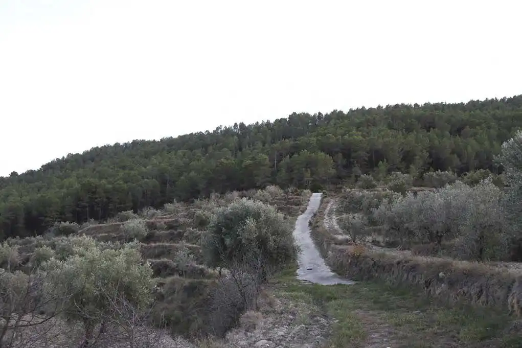 Casa rústica en venta en Torremanzanas / La Torre de les Maçanes, imagen 14