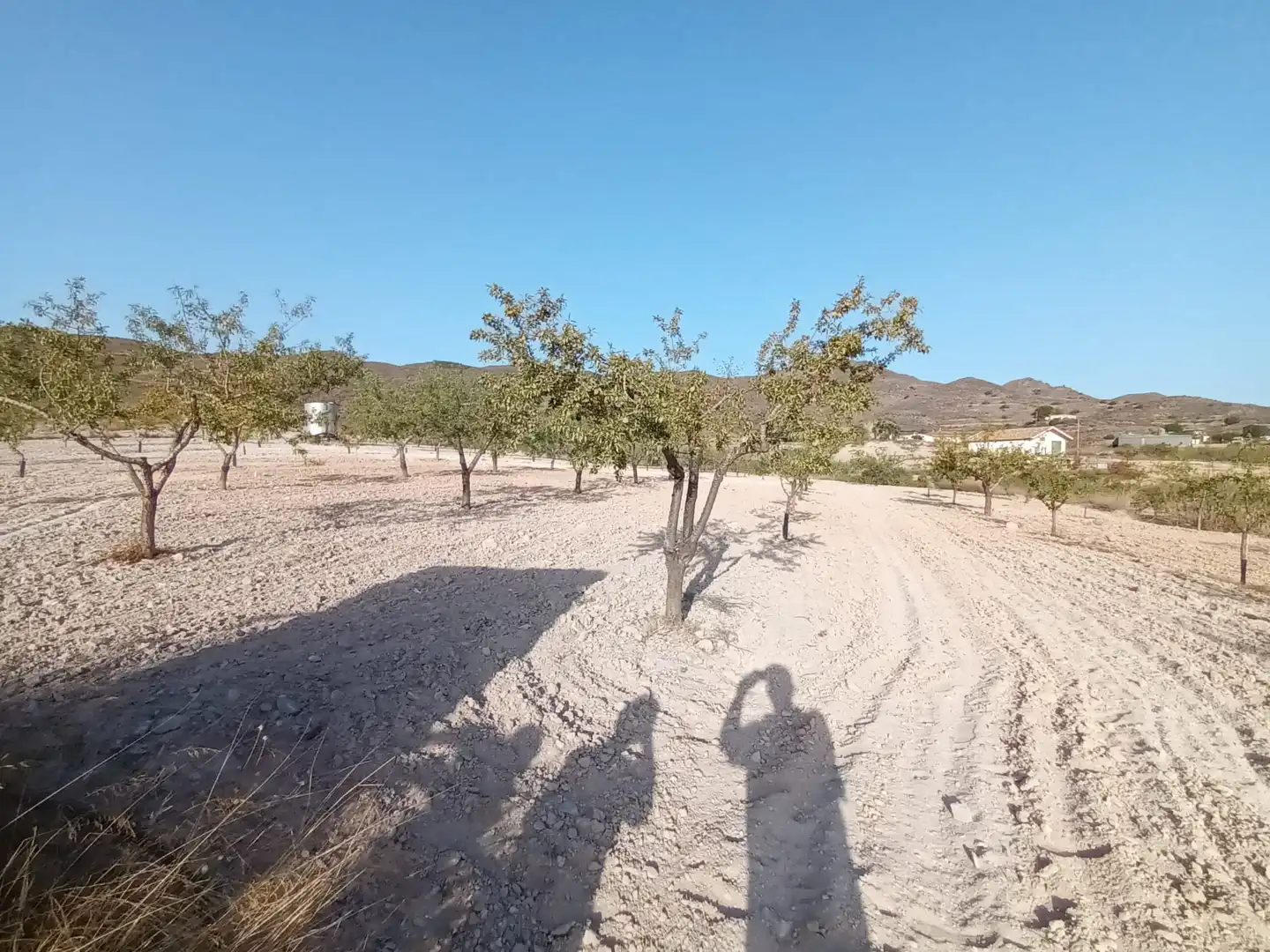 Terreno rustico in vendita a Lugar las Barrenas 6, imagen 18