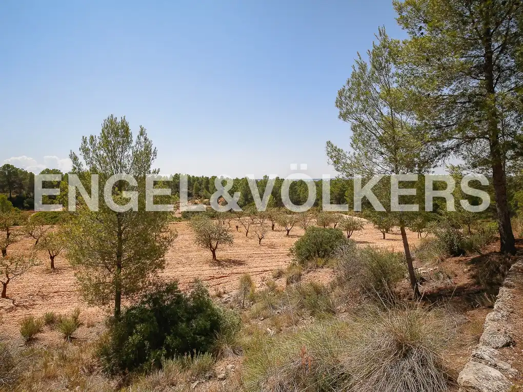Finca rústica en venda a Requena