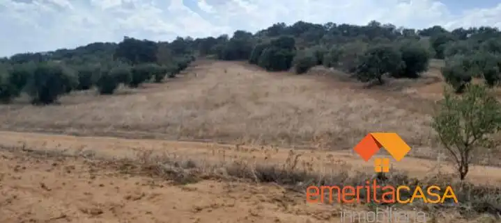 Terreni e lotti in vendita a Don Álvaro, imagen 5