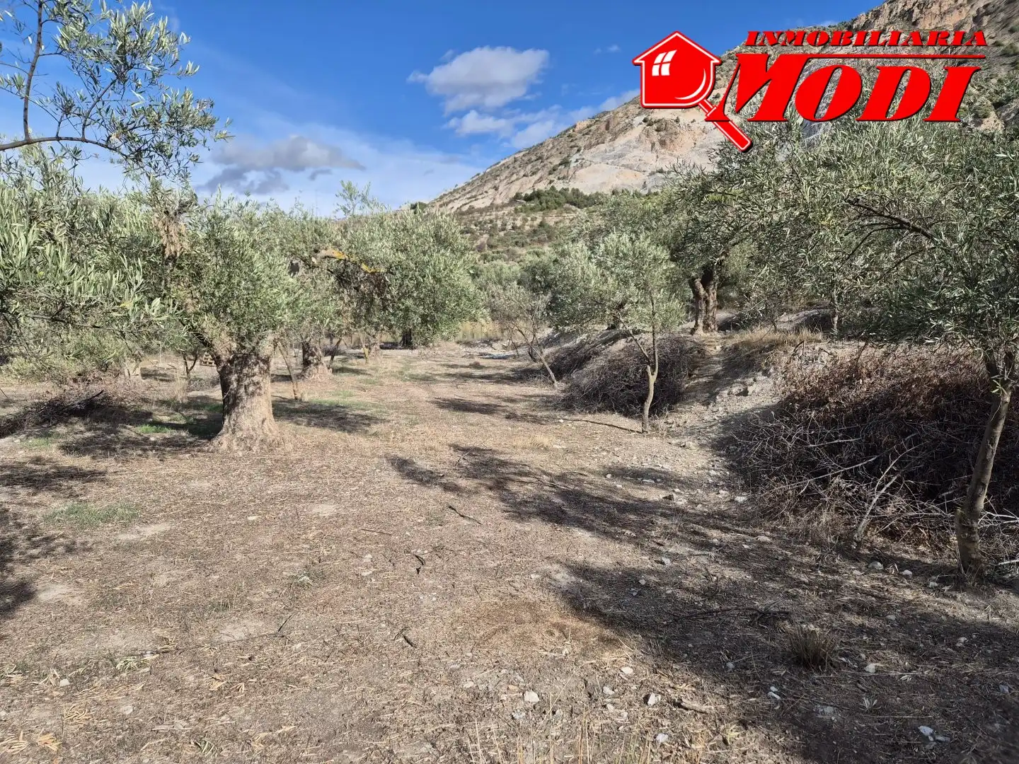 Lands and plots for sale in Dúrcal, imagen 9
