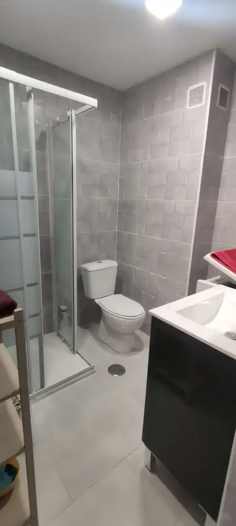 Bathroom of Study for rent in Torremolinos  with Furnished and Pets allowed