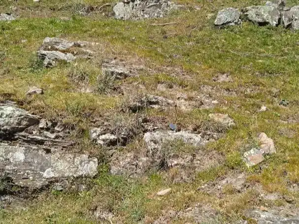 Finca rústica en venda en Condemios de Arriba