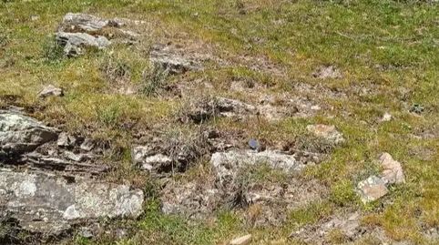 Foto 3 de Finca rústica en venta en Carretera a Condemios, 17, Condemios de Arriba, Guadalajara