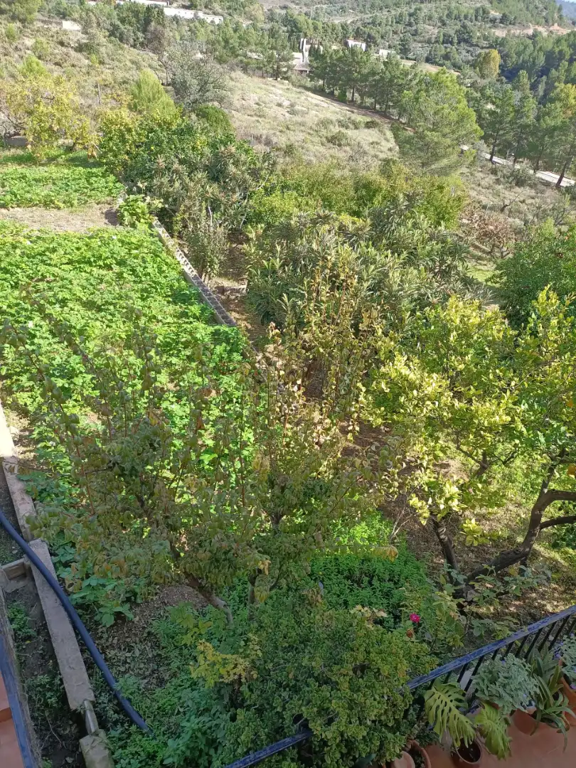 Houses for sale in Castellnovo  with Terrace, Swimming Pool and Furnished