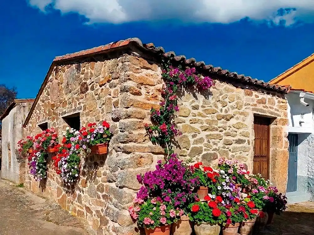 Vista exterior de Casa o xalet en venda en San Lorenzo de Tormes, Ávila