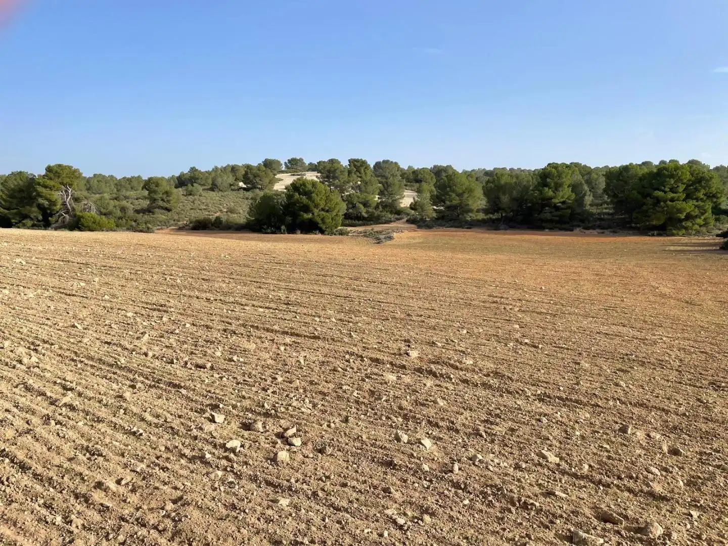Terreni e lotti in vendita a La Milagrosa, imagen 15