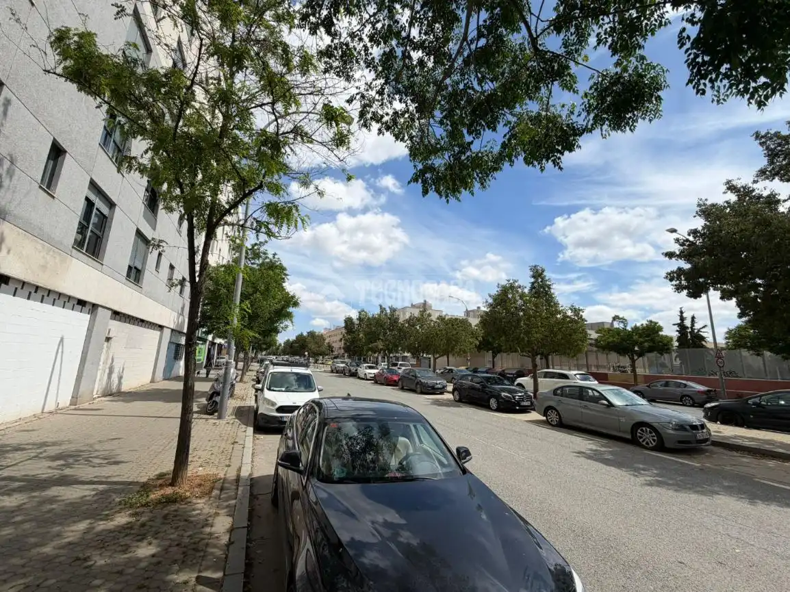 Gewerbefläche zur Miete in Calle Estrella Canopus