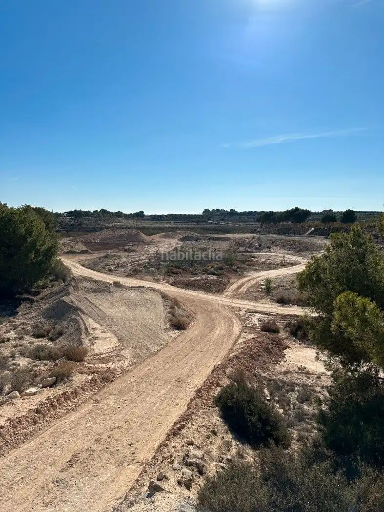 Terrain rustique à vendre à Camino de Catral 31, imagen 6