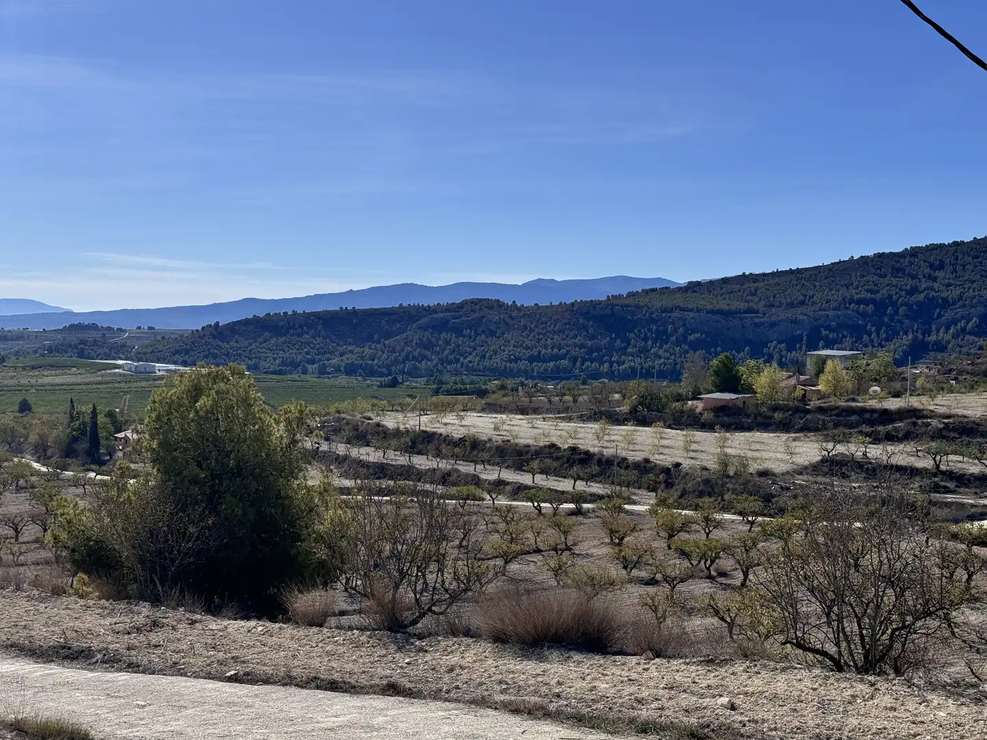 Vista exterior de Casa o chalet en venta en Bullas con Aire acondicionado, Calefacción y Jardín privado