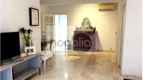 Foto 4 de Piso de alquiler en Arenal - Museo, Sevilla Capital