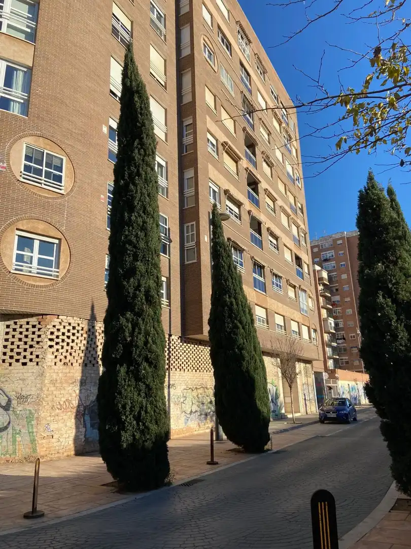 Local comercial de lloguer a Calle FRANCISCO DE BORJA, imagen 8