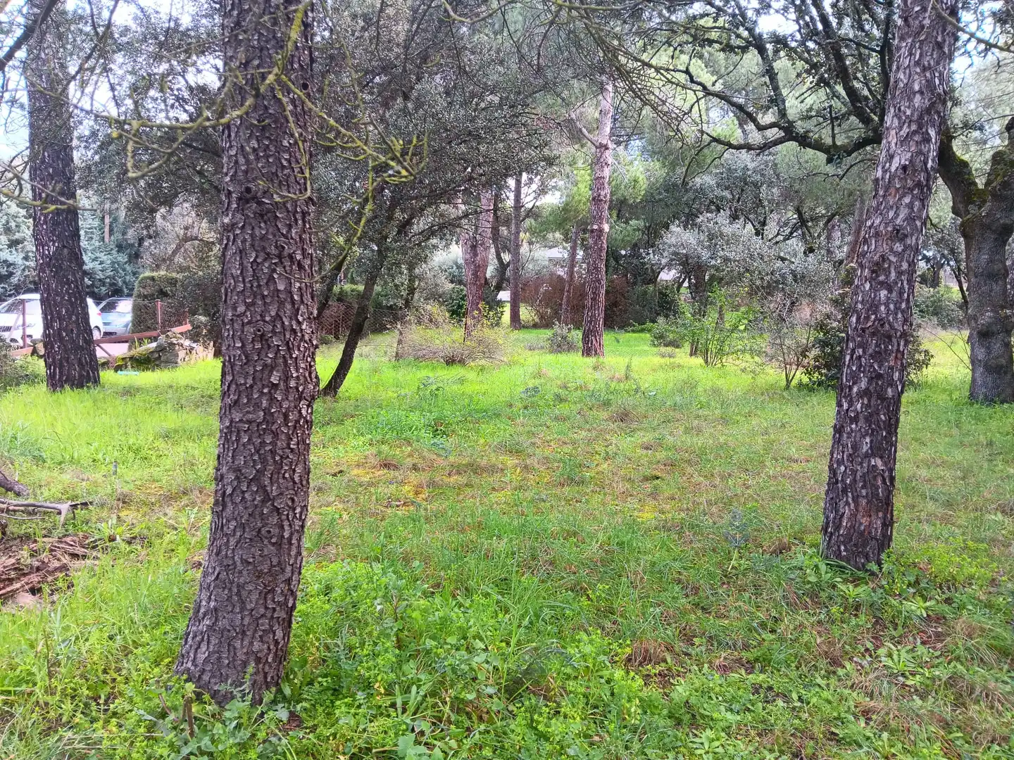 Residencial en venda en Boadilla del Monte