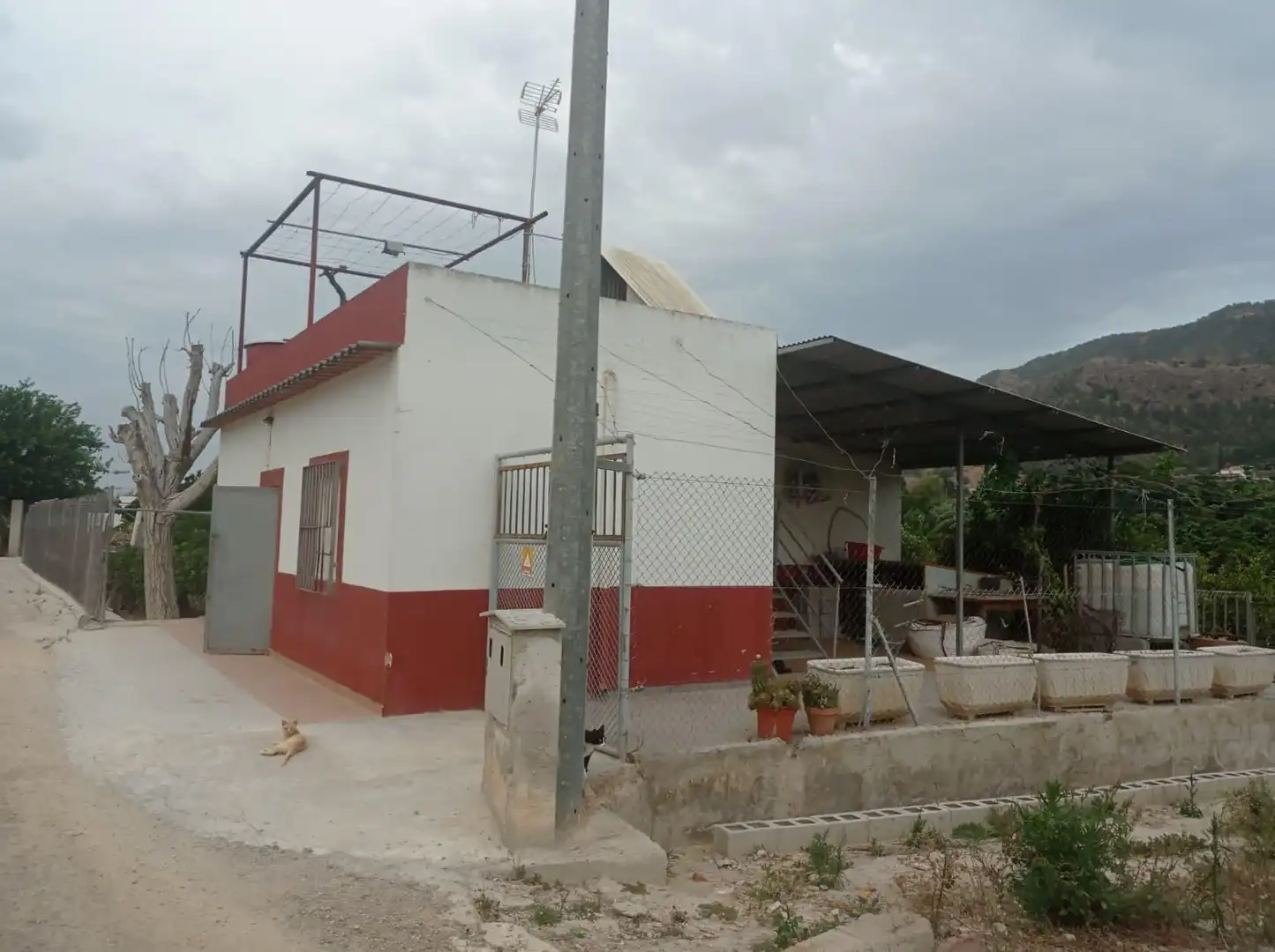 Vista exterior de Finca rústica en venda en Murcia amb Jardí privat, Traster i Moblat