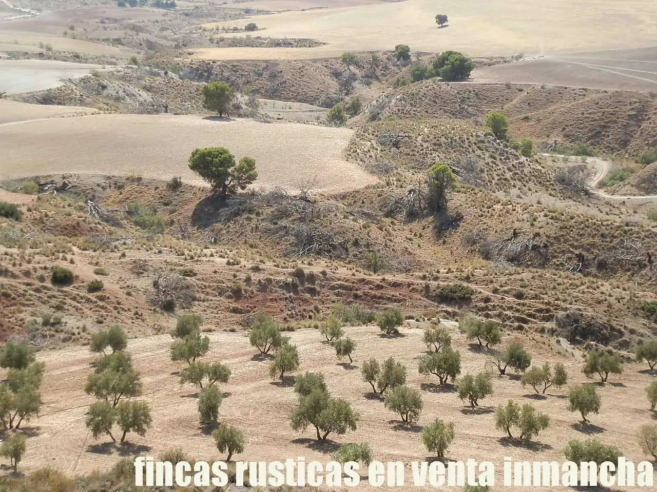 Terreni e lotti in vendita a Cabra del Santo Cristo, imagen 4