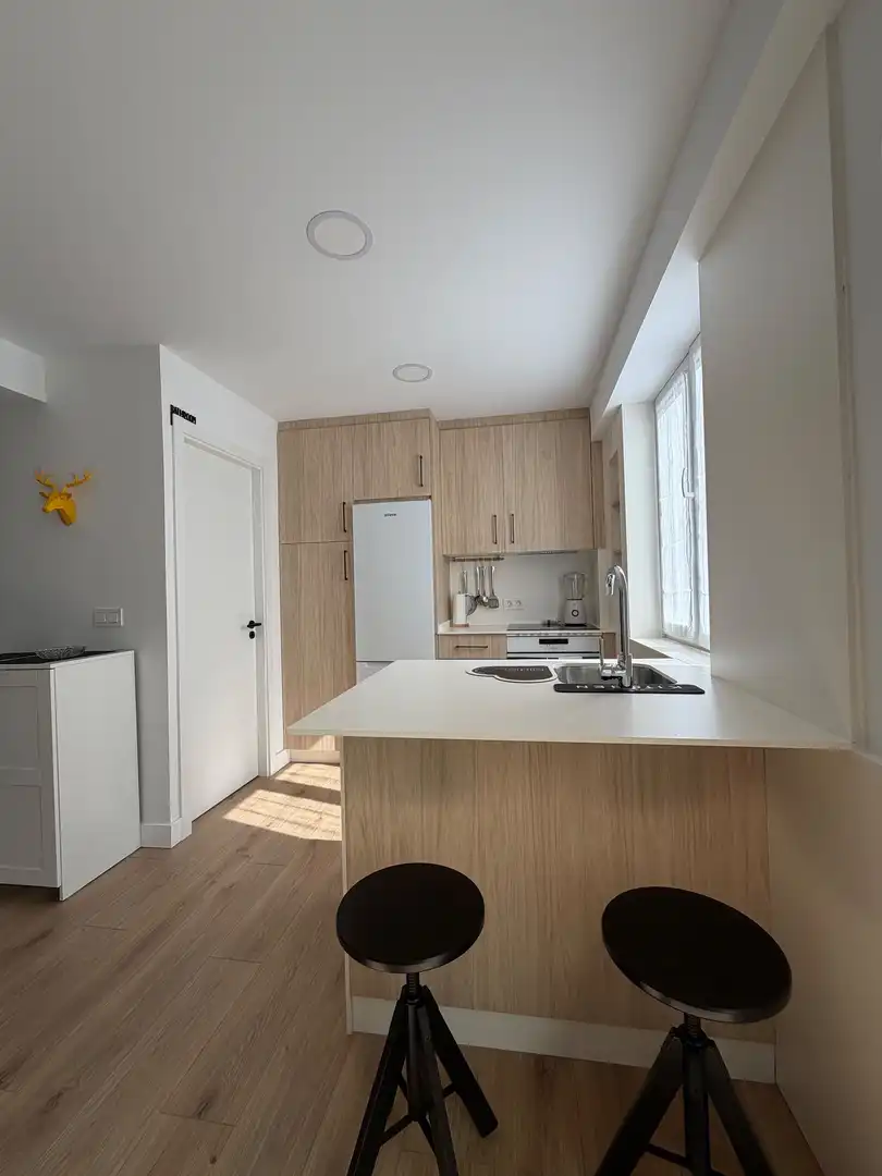 Cuina de Apartament de lloguer en Lugo amb Calefacció i Moblat