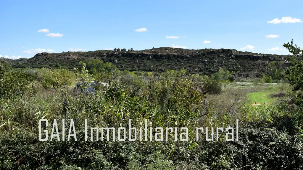 Terreni e lotti in vendita a Maella, imagen 4