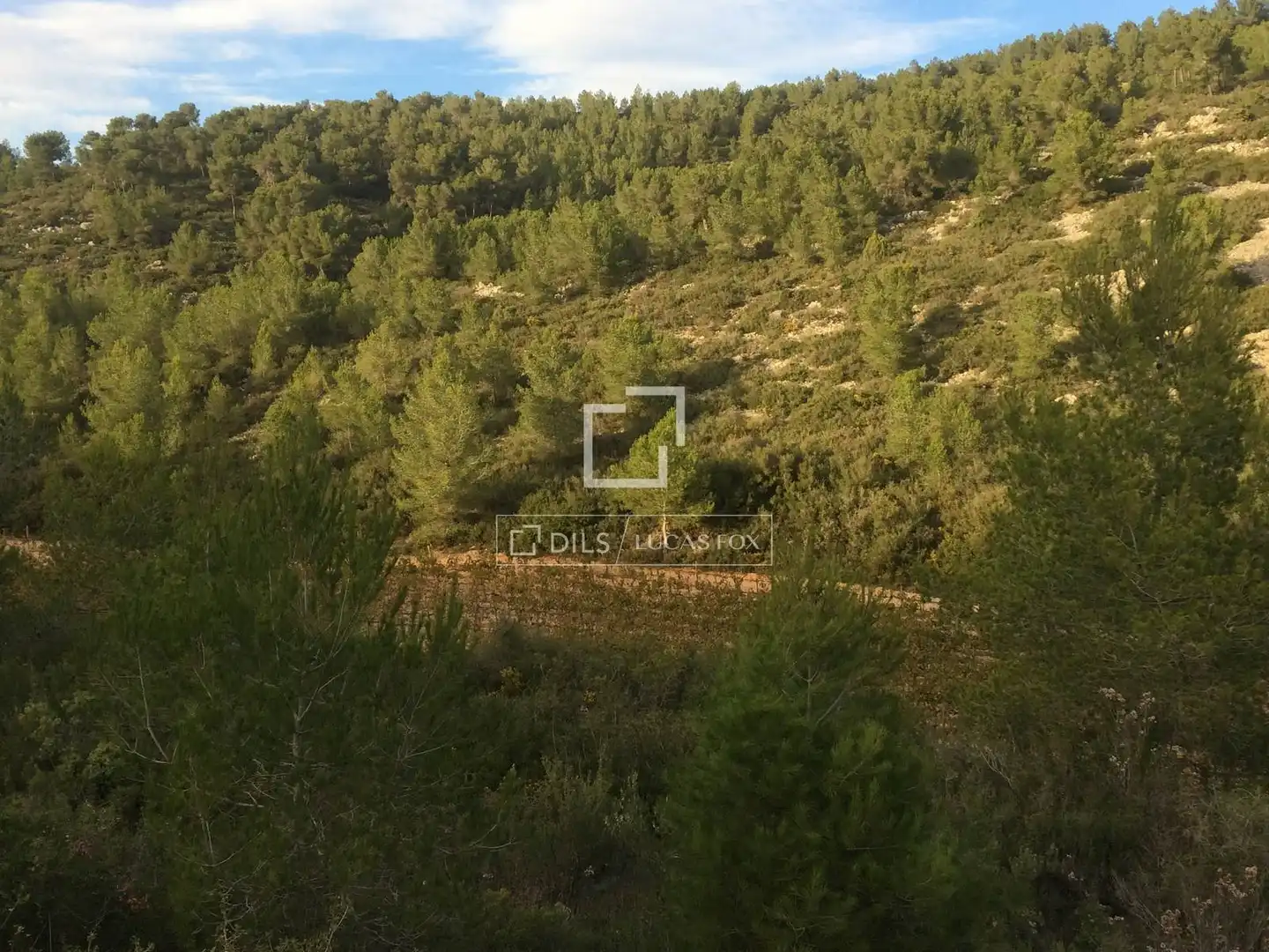 Casa rustica in vendita a Castellet i la Gornal, imagen 20