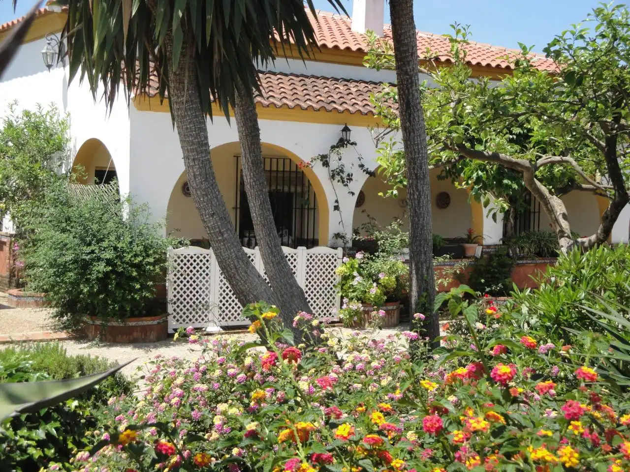 Jardín de Casa o chalet en venta en Carmona con Jardín privado, Terraza y Piscina