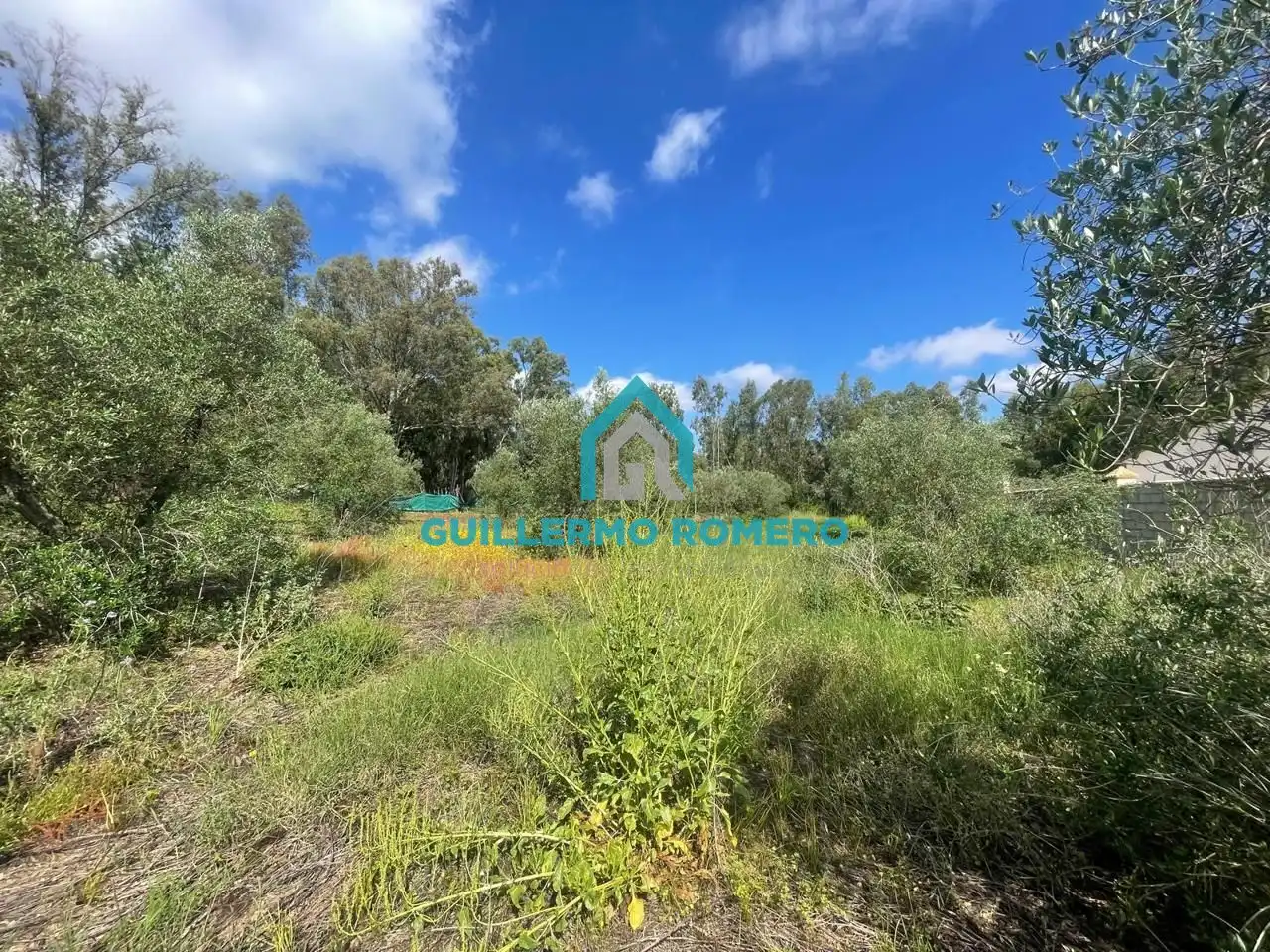 Terreni e lotti in vendita a La Puebla del Río