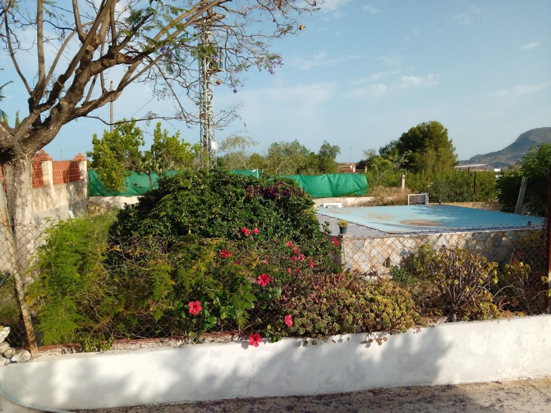 Garden of House or chalet for sale in Agost