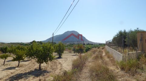 Foto 4 de Terreno en venta en Camino del Fardacho, Rebolledo, Alicante / Alacant