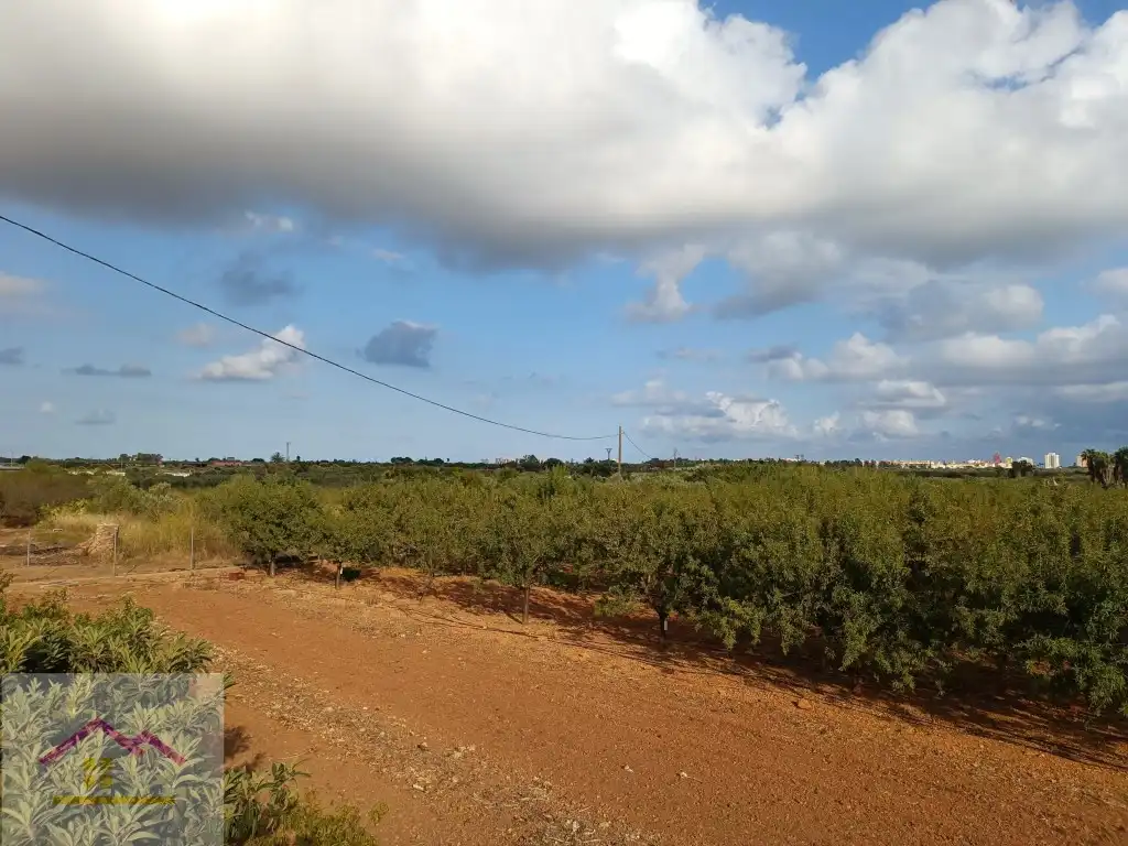 Finca rústica en venda a Calle Oropesa, 14, Torreblanca
