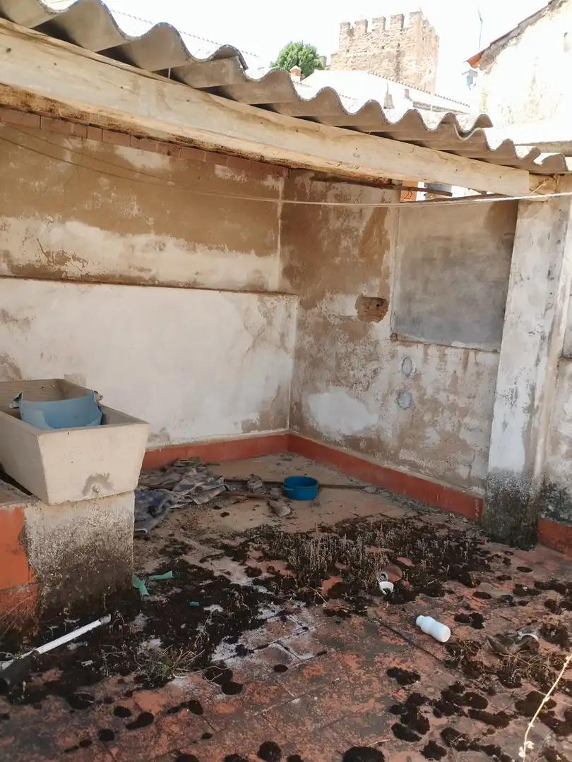 House with terrace for sale in Calle Pepe Ramírez, imagen 19