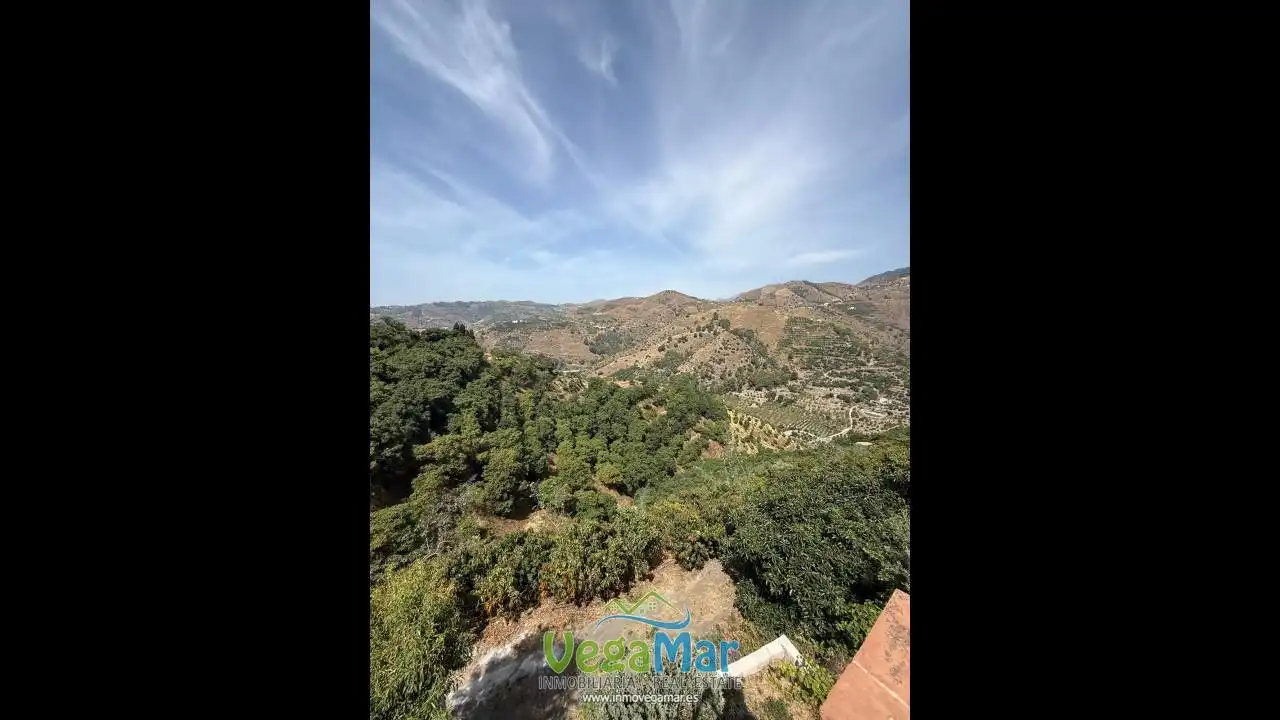 Vista exterior de Finca rústica en venta en Jete con Jardín privado, Terraza y Piscina