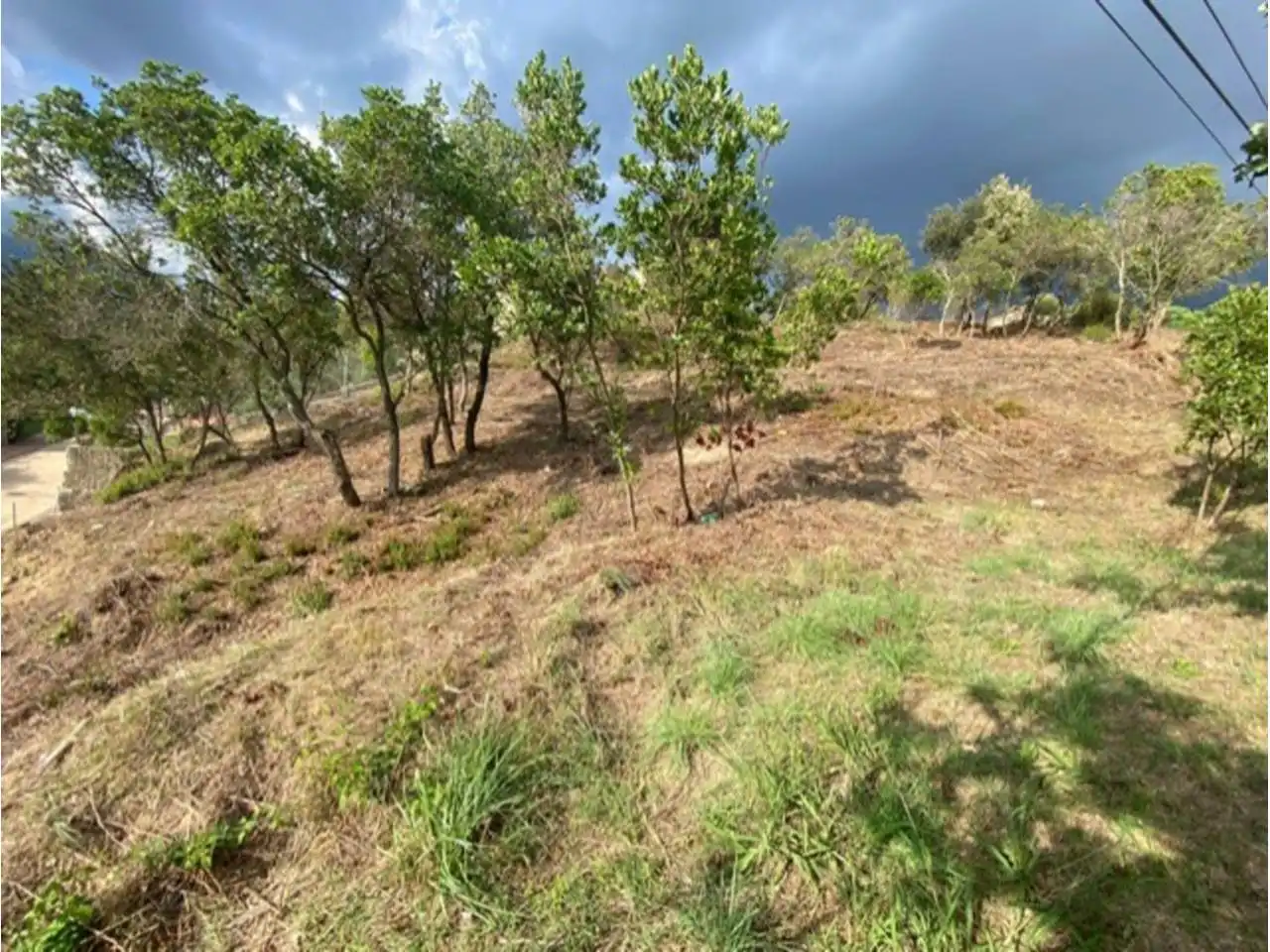 Terreny residencial en venda a Riells i Viabrea, imagen 5