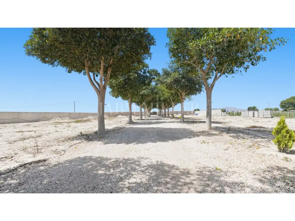 Maison avec jardin à vendre à Dolores, imagen 111