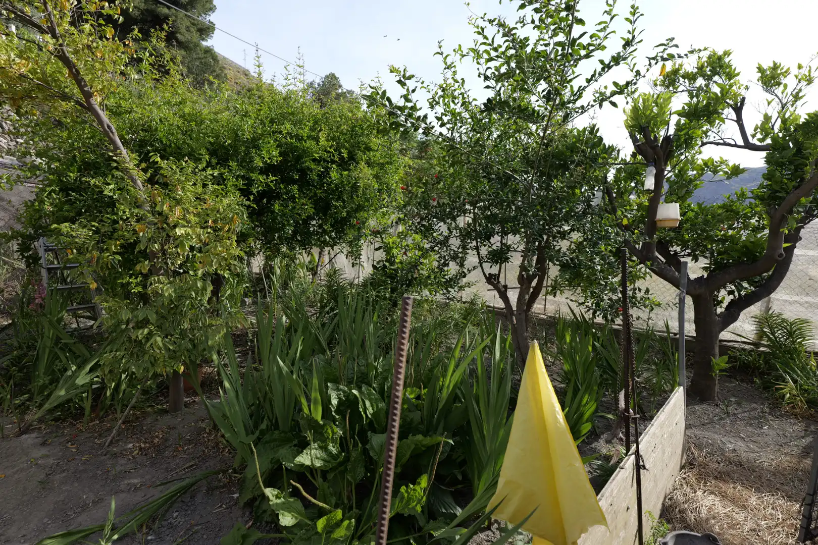 Garden of Houses for sale in Adra  with Private garden, Terrace and Furnished