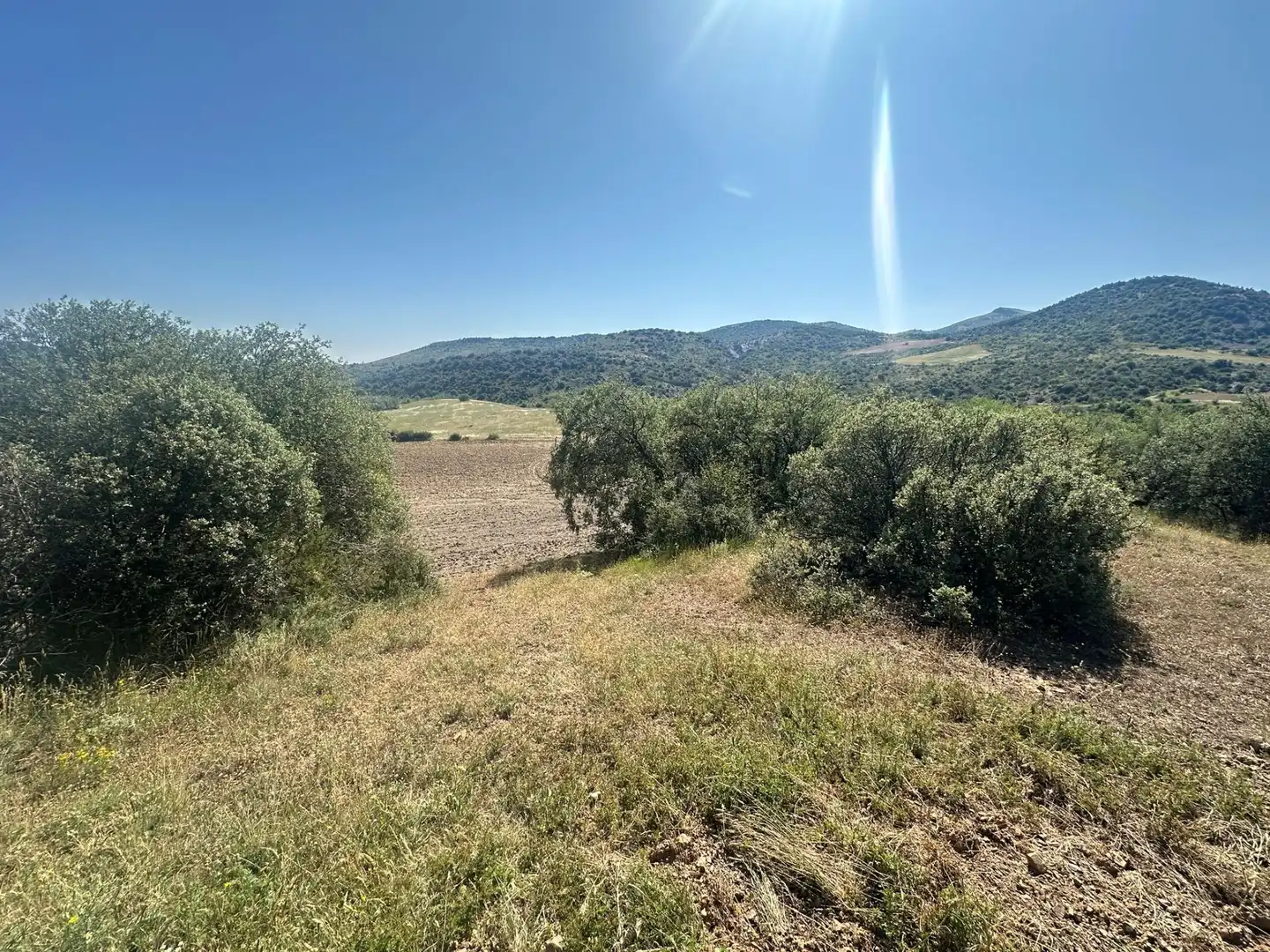 Grundstücke zum Verkauf in Bádenas