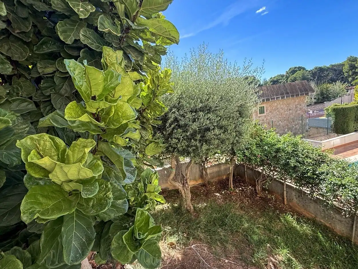 Garten von Haus zum Verkauf in  Palma de Mallorca mit Klimaanlage, Heizung und Privatgarten