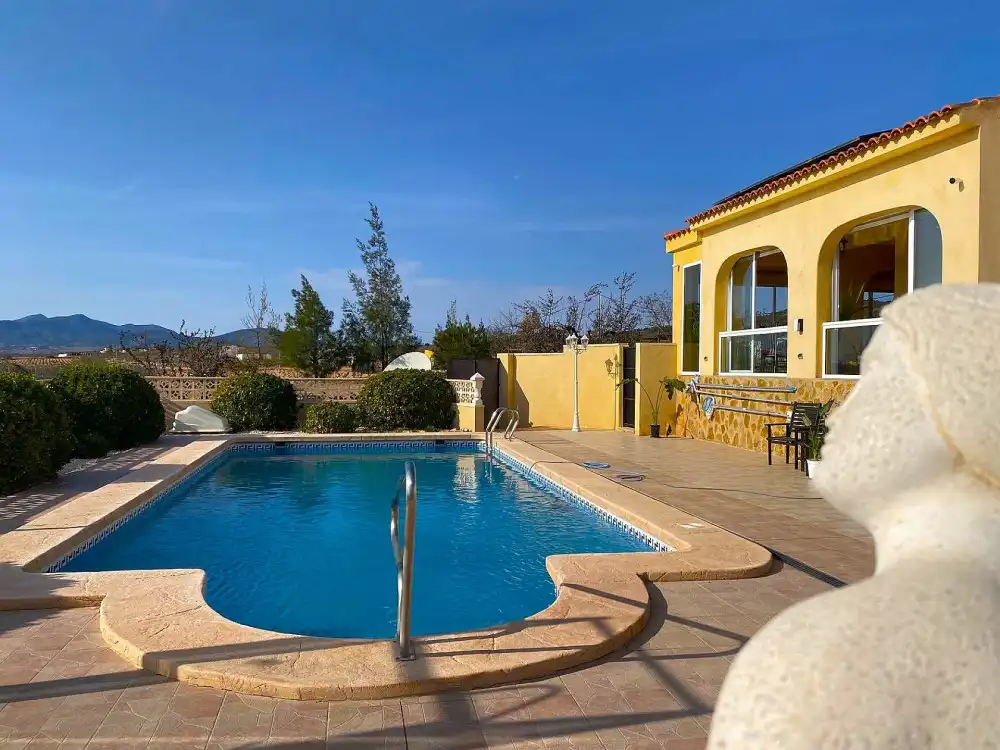 Piscina de Casa o chalet en venta en El Pinós / Pinoso