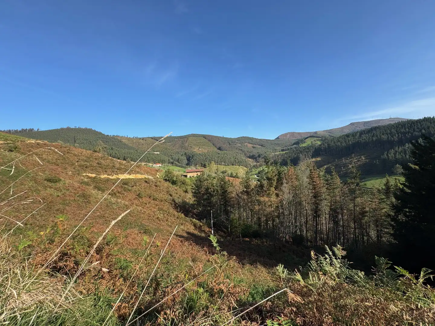 Finca rústica en venta en Muxika