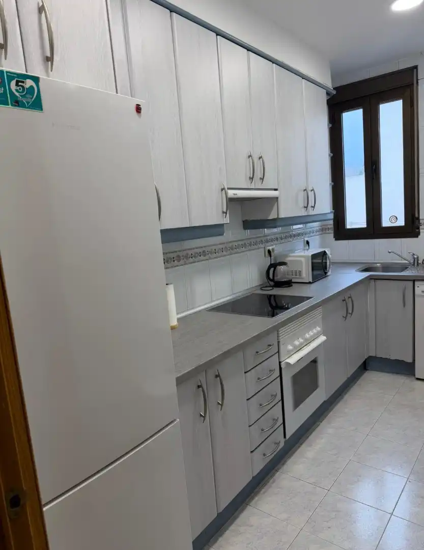 Cuina de Àtic de lloguer en Madrid amb Aire condicionat, Calefacció i Parquet