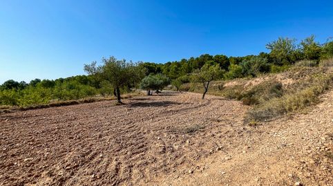 FINCA RUSTICA EN EL CORAZON DE LA MONTAÑA  DE CASTALLA, immagine 5