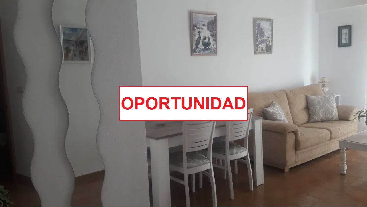 Sala d'estar de Pis de lloguer en Ciudad Real Capital amb Calefacció, Terrassa i Moblat