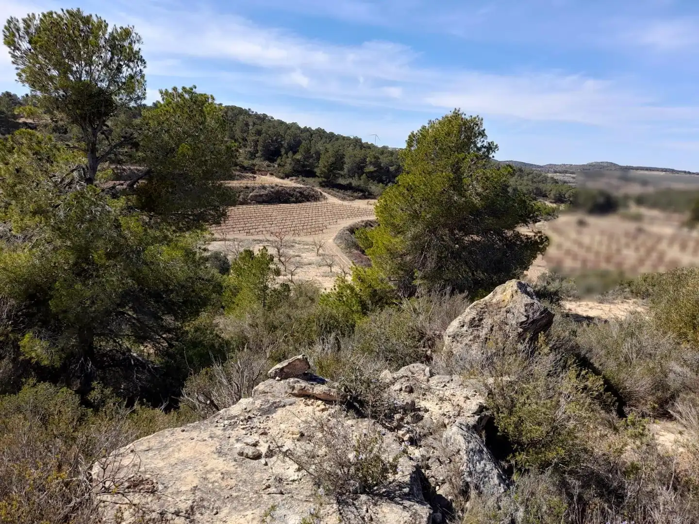 Rural land for sale in Batea, imagen 17